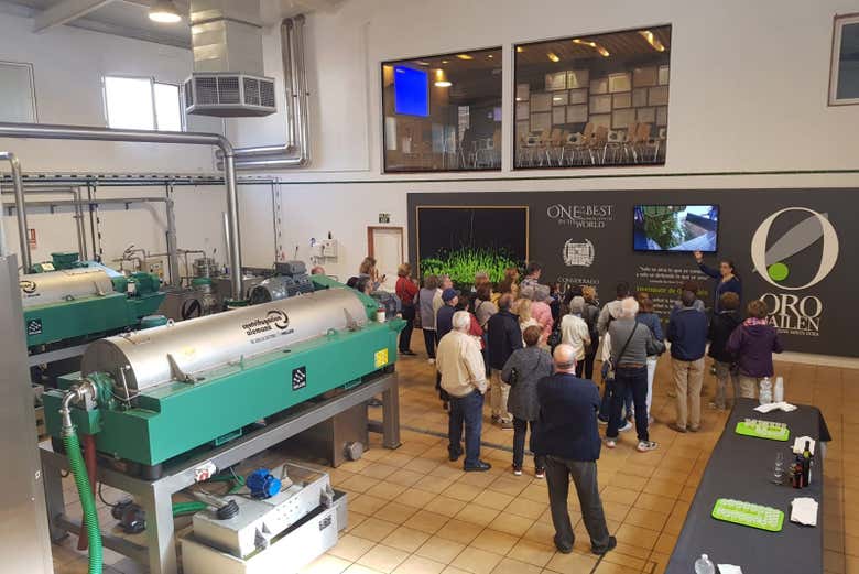 Escuchando atentos las explicaciones del guía