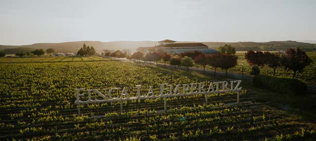 Visita al viñedo de la Finca La Emperatriz