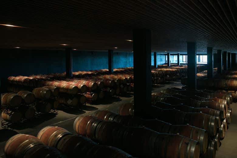 La sala de barricas