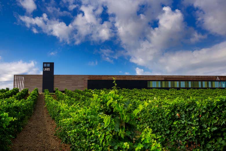 Exterior de la bodega Laus