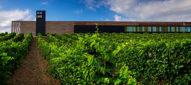 Visita a la bodega Laus