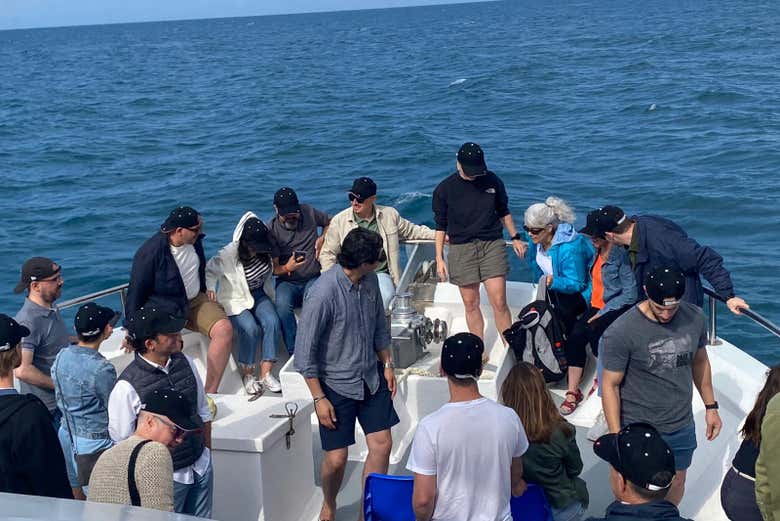 Esperando a que los delfines hagan su aparición