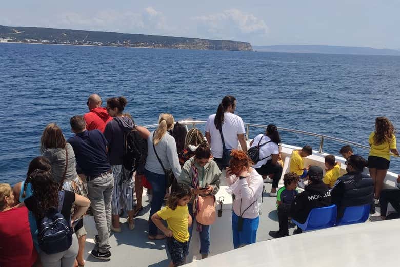 Preparados para ver ballenas y delfines