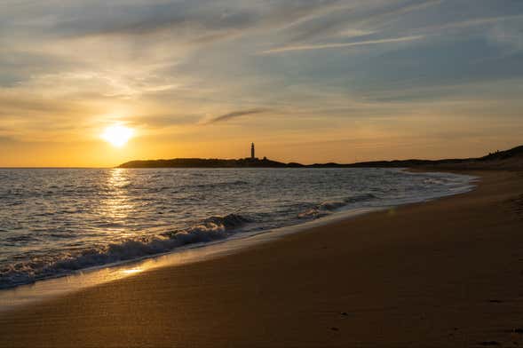 Giro in barca a Capo Trafalgar al tramonto