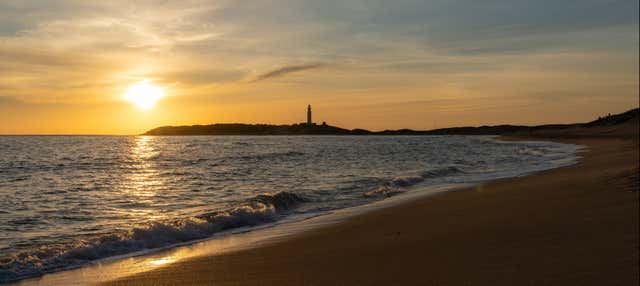 Paseo en barco al atardecer por el Cabo de Trafalgar