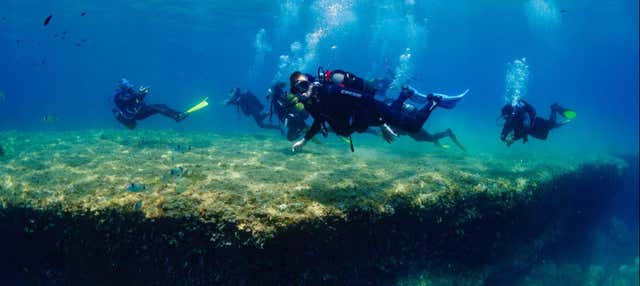 Bautismo de buceo en Barcelona