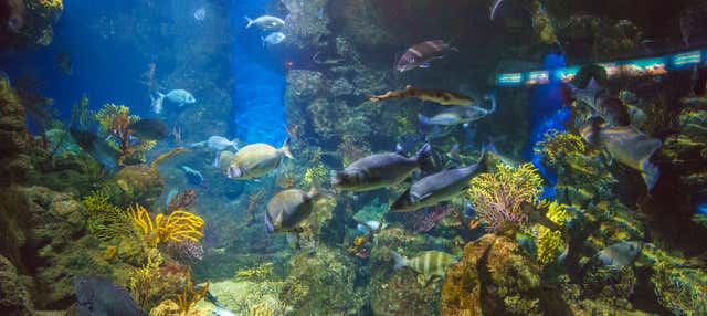 Entrada a L’Aquàrium de Barcelona