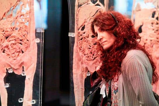 Ticket to the Human Bodies Exhibition
