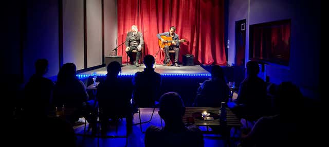 Spectacle de flamenco à Casa Sors + Visite du musée de la guitare
