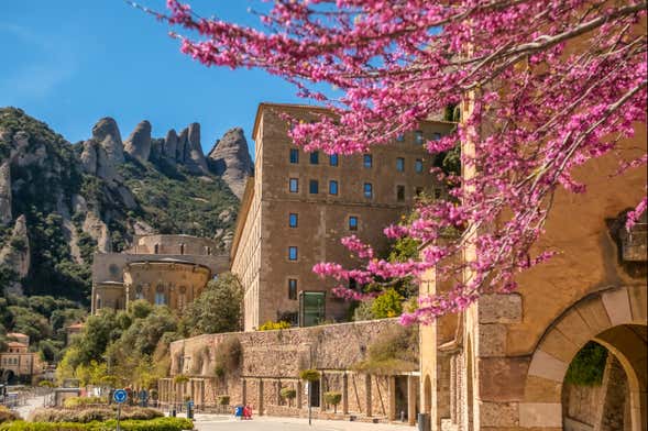 Excursión a Montserrat