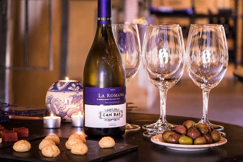 Vins du Penedés