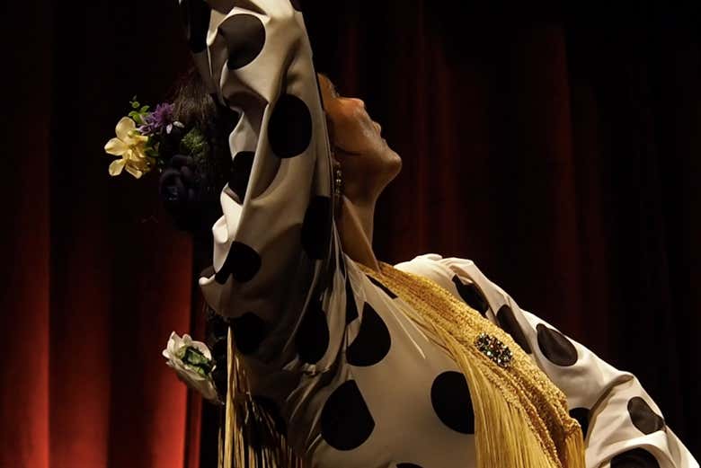 Una bailaora durante el show de flamenco