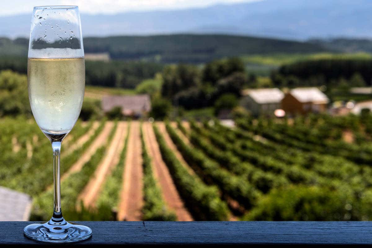 Excursión a Montserrat y Visita a una bodega