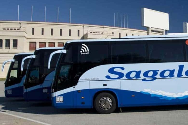 Rangée de bus stationnés