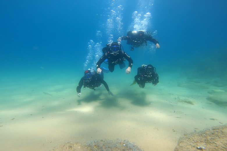 Buzos explorando el fondo marino