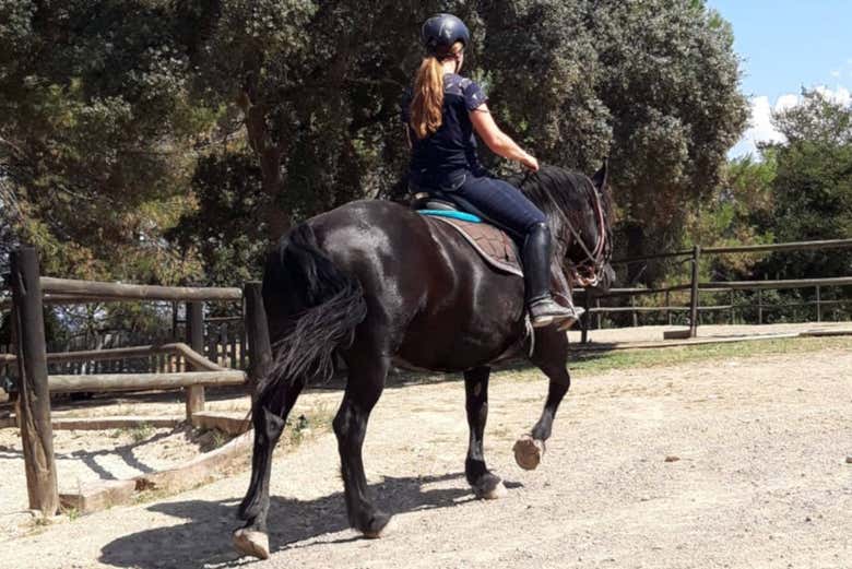 Tour a cavallo a Montserrat