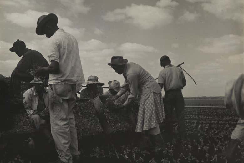 Consuelo Kanaga, Tennessee, 1950