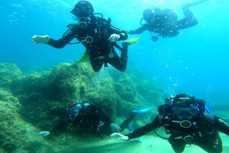 Cuatro personas realizando buceo
