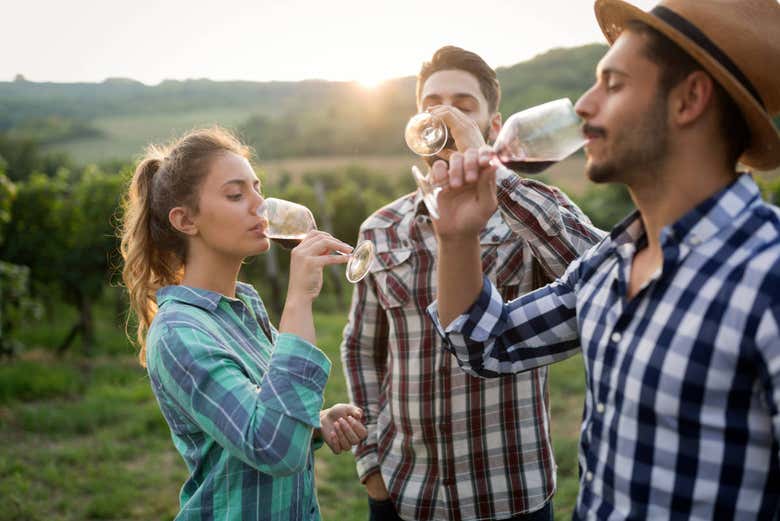 Disfrutando de la degustación de vino