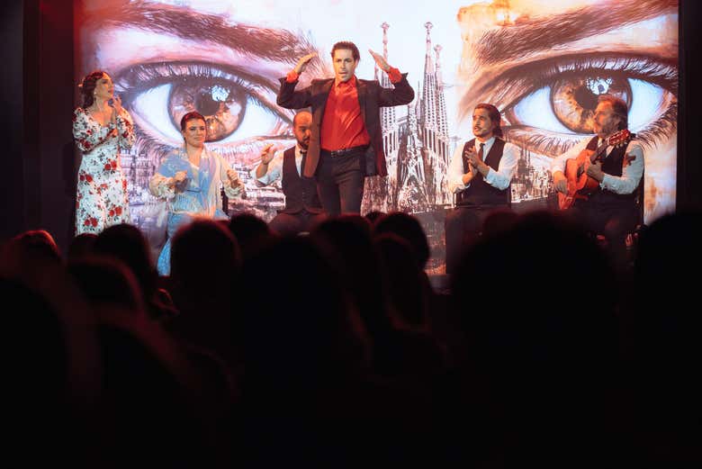 Bailaor flamenco