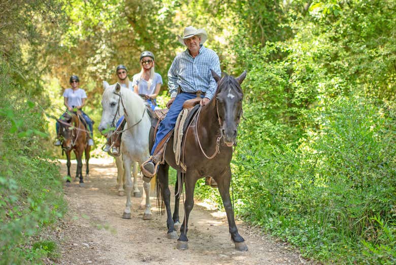 Start of the horse experience