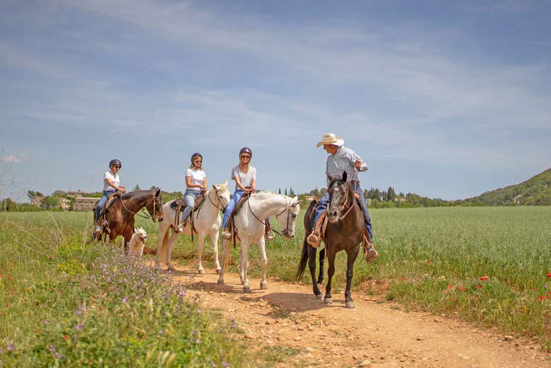 Horseback riding skills