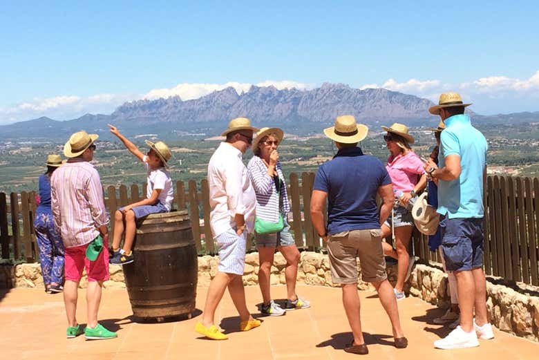 Desde la bodega, disfrutaréis de las vistas a las montañas