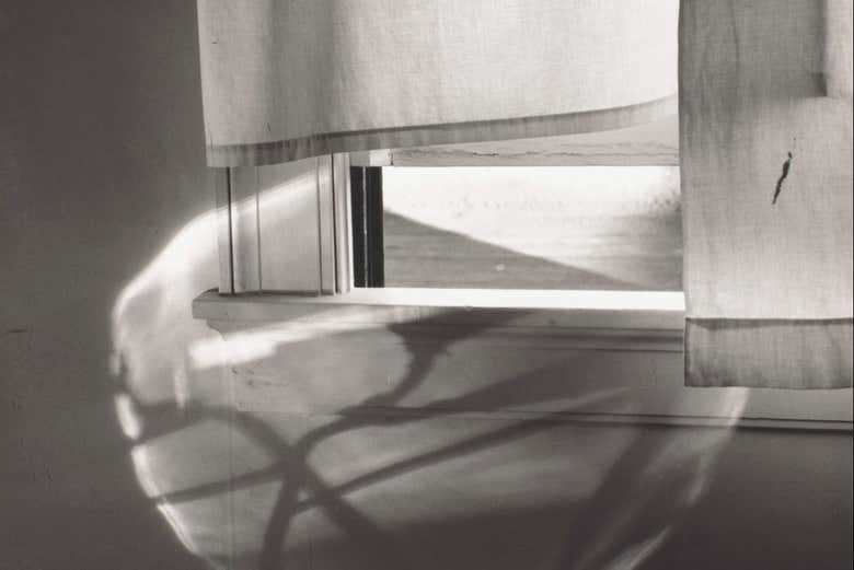 Minor White © Trustees of Princeton University