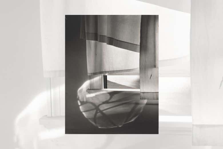 Minor White © Trustees of Princeton University