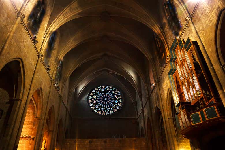 All'interno della Basilica di Santa Maria del Pino