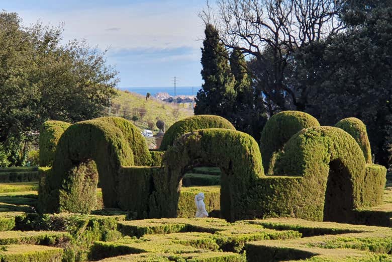Arbustos en el Laberinto de Horta
