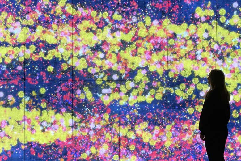 Admire the vibrant colours