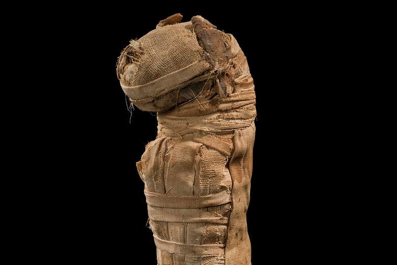 Momia de gato expuesta en el museo
