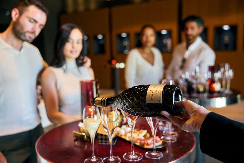 Experimentando as varidedades de  vinhos