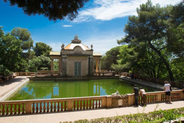 Paseando por el parque