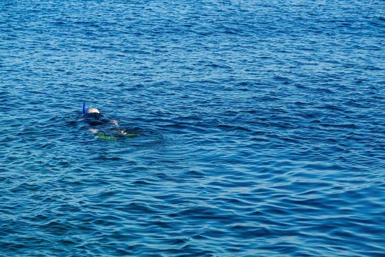 Explorad las aguas abiertas del mar Mediterráneo
