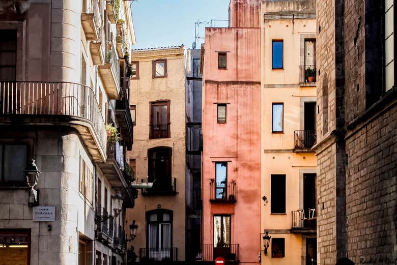 Passeggiando per il Born