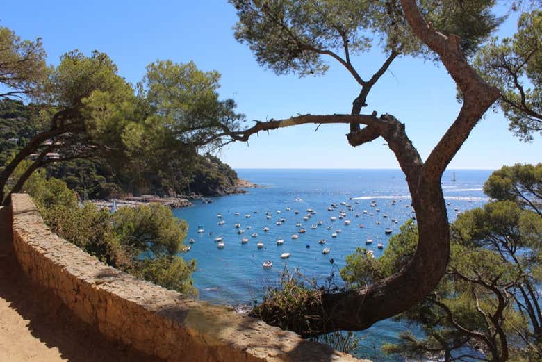 Camino de Ronda