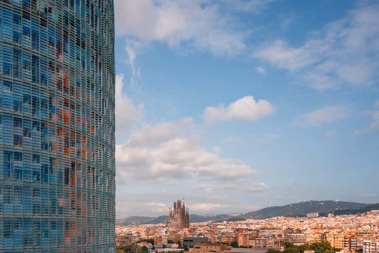 Views of the Sagrada Familia from the tower