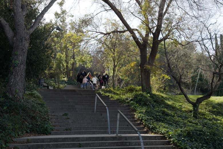 Ascendiendo por las escaleras de Montjuïc