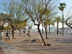 La Barceloneta, Passeig de Joan de Borbó