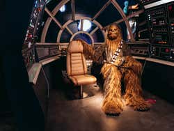 Wax Museum Figures