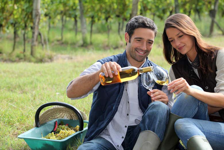 Dégustation de vins du Penedés