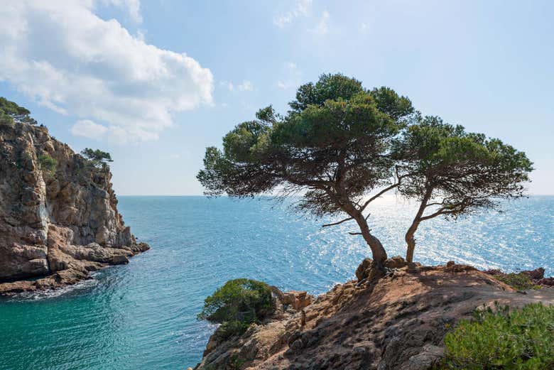 La Costa Brava