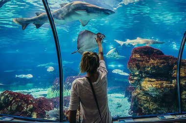 Aquarium di Barcellona