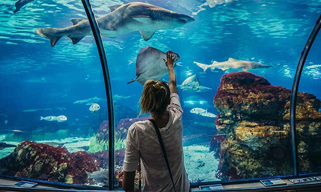 Aquarium de Barcelona - Horario, precio y ubicación en Barcelona