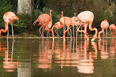 Zoo di Barcellona