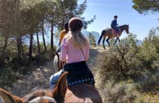 Montserrat Horse Riding