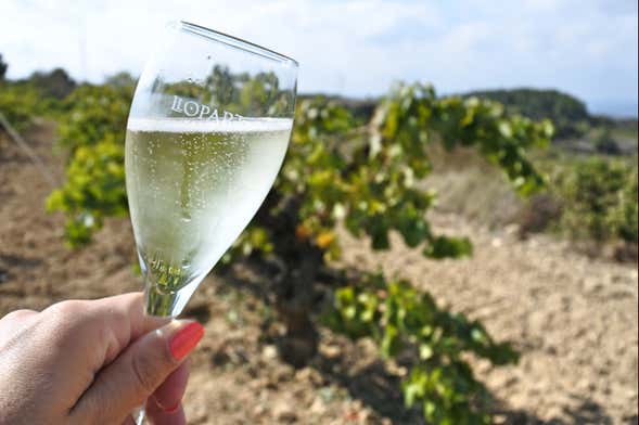 Rota de adegas pelo Penedès