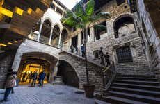 Visita guiada por el Museo Picasso